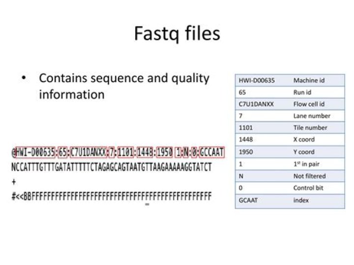 What is a FastQC file?