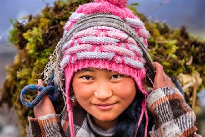 What is a Nepalese Sherpa?