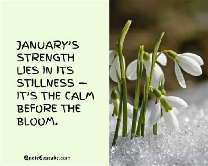 What is a quote for spring?