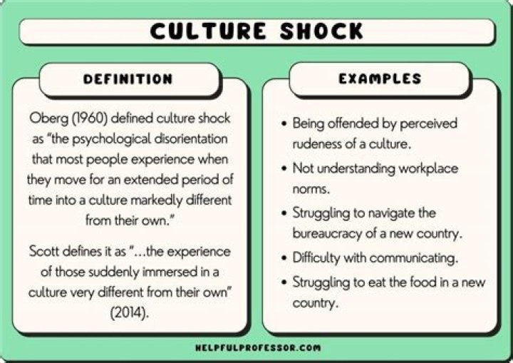 What is a short definition of culture?