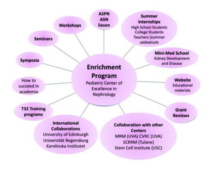 What is an enrichment teacher?