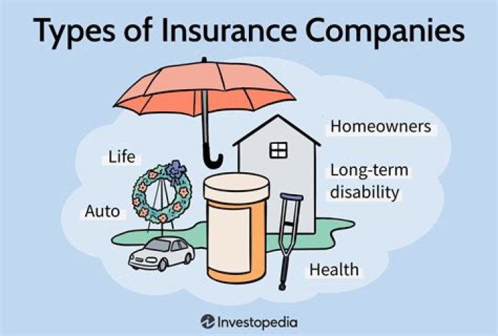 What is an example of a stock insurance company?
