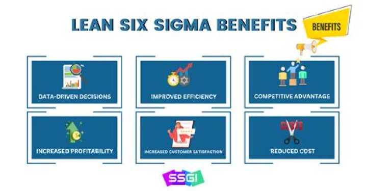 What is an example of Lean Six Sigma?