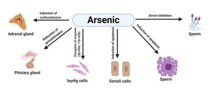 What is arsenicum Iodatum used for?