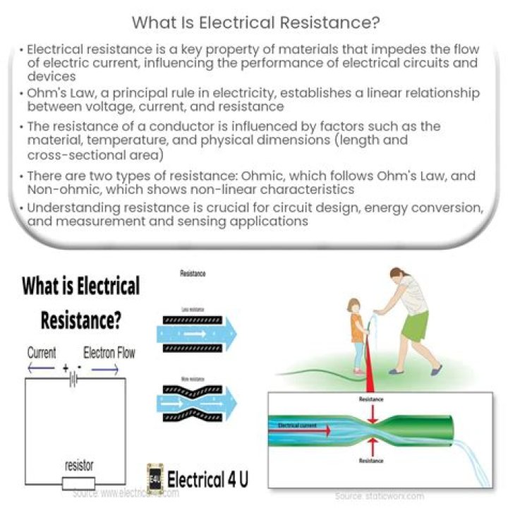 What is blasticidin resistance?