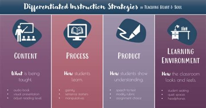 What is differentiated instruction examples of strategies?