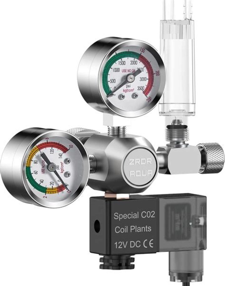 What is dual gauge CO2 regulator?