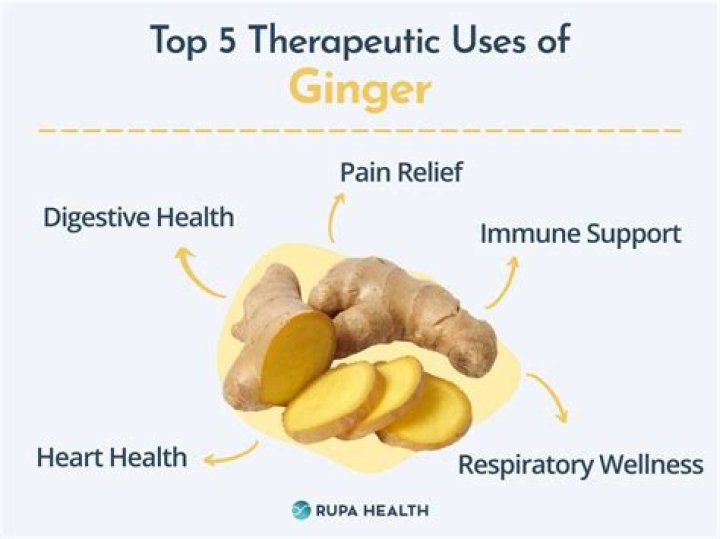 What is gingerol used for?