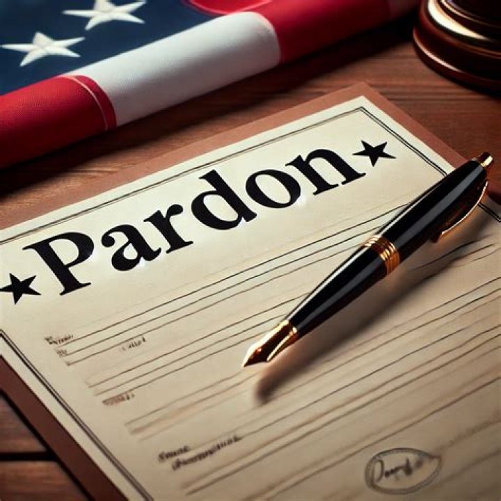 What is government pardon?