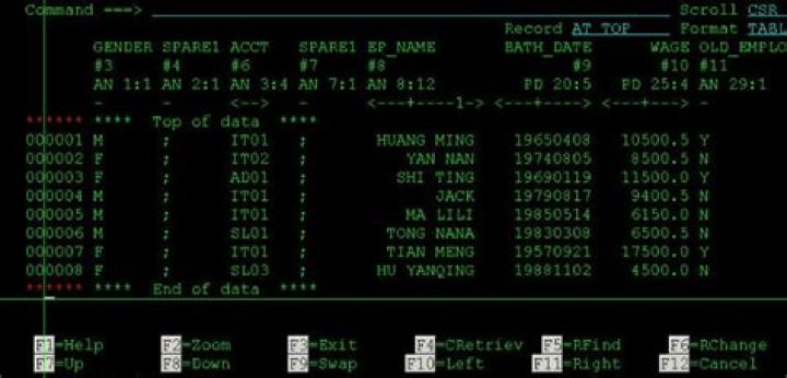 What is IBM File Manager?