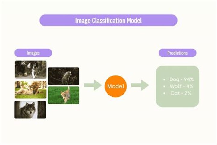 What is image classification in digital image processing?