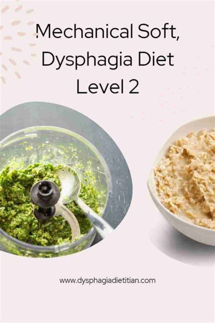 What is Level 2 dysphagia diet?