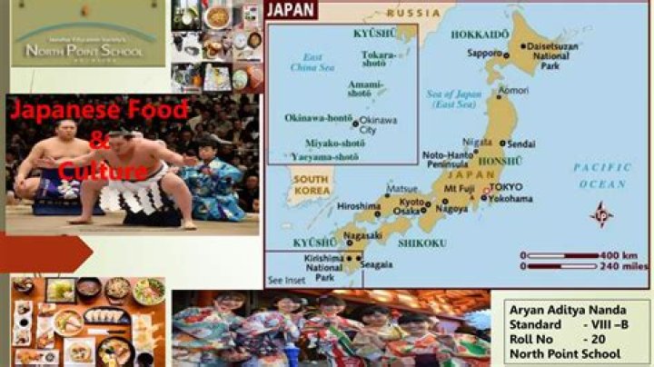 What is Nanda Japanese?