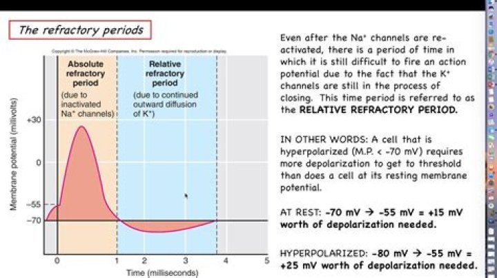 What is relative refractory period?