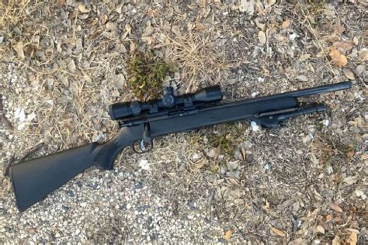 What is savage FV SR?