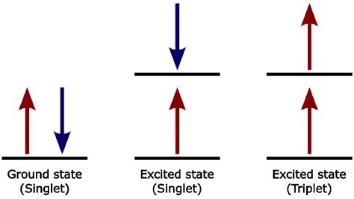 What is singlet and triplet excited state?