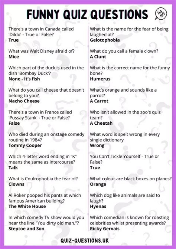 What is the app that answers your questions?