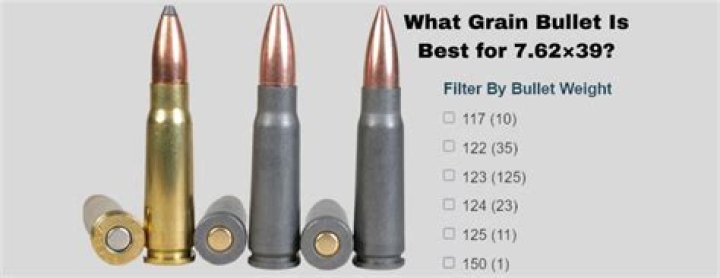 What is the best grain bullet for a 25-06?