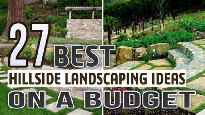 What is the cheapest way to landscape a backyard?
