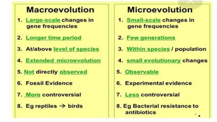 What is the difference between macro and micro evolution?