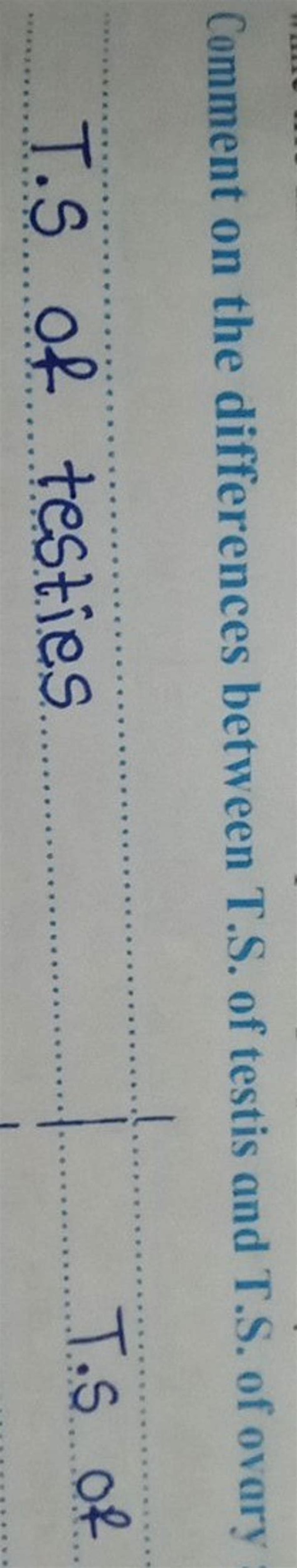 What is the difference between testis and ovary?