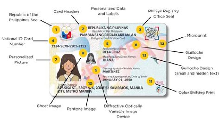 What is the document number in identity card?