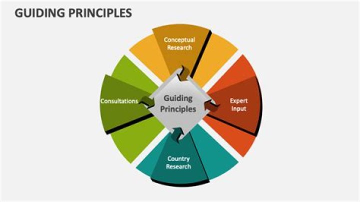 What is the guiding principle of the National Strategy for Pandemic Influenza?
