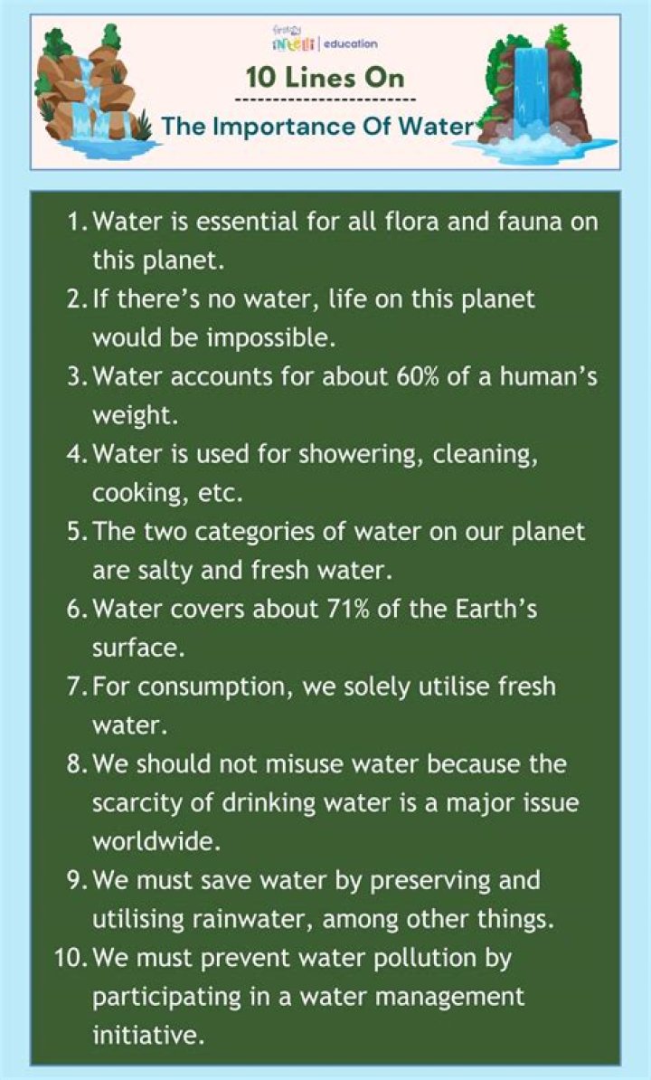 What is the importance of water in our lives?