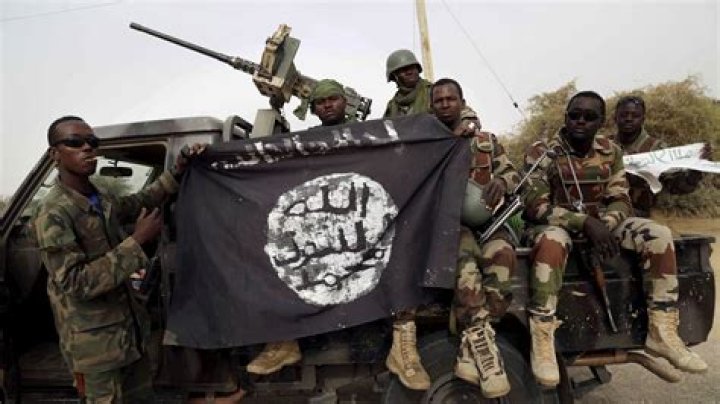 What is the main purpose of Boko Haram?