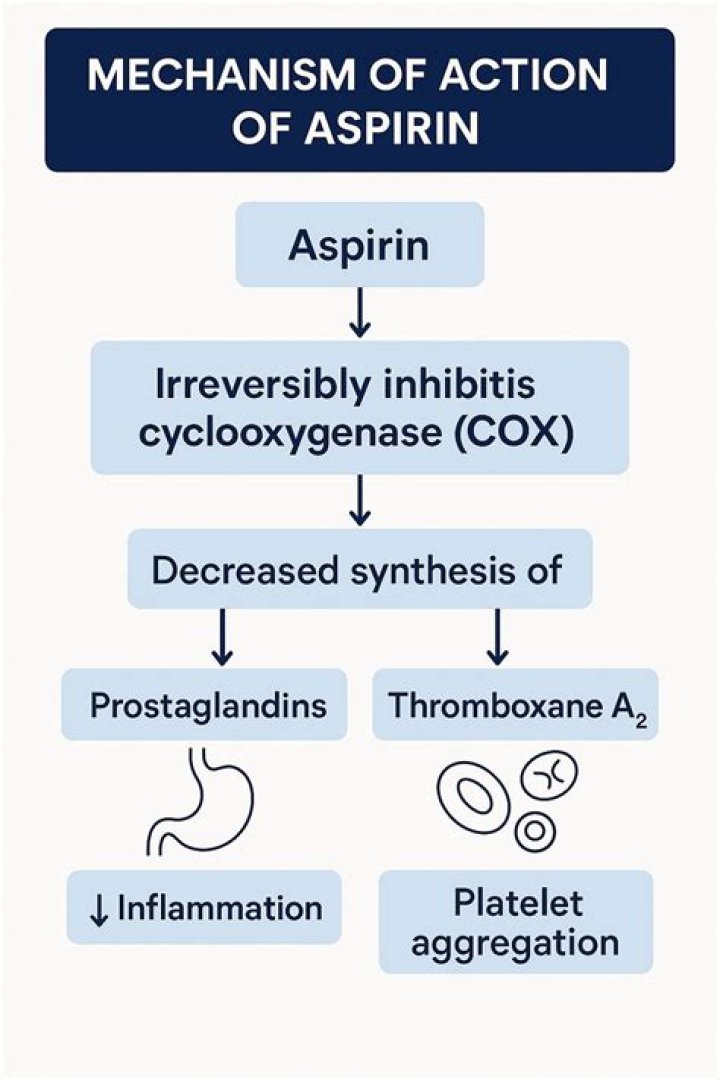 What is the mechanism of action of the pertussis toxin?