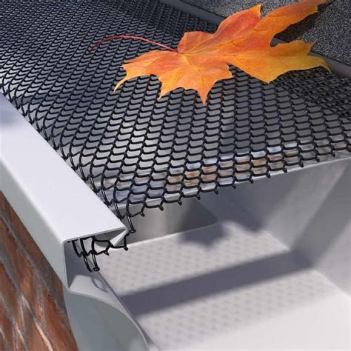 What is the most effective gutter guard?