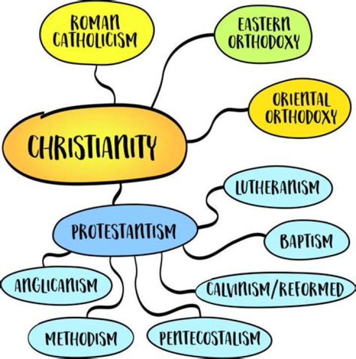 What is the most popular branch of physics?