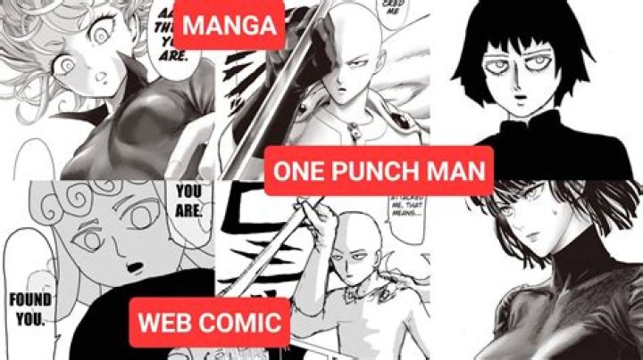 What is the One-Punch Man webcomic?