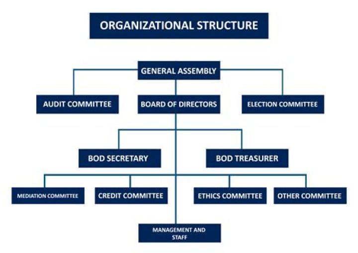 What is the organizational structure for Tesco?
