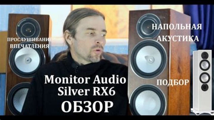 What is the price of the monitor silver RX6?