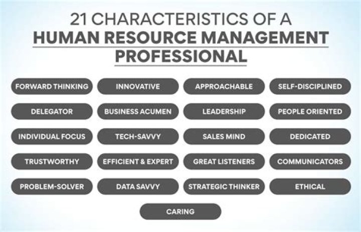 What is the role of a human service professional?