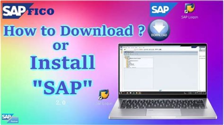 What is the SAP program used for?
