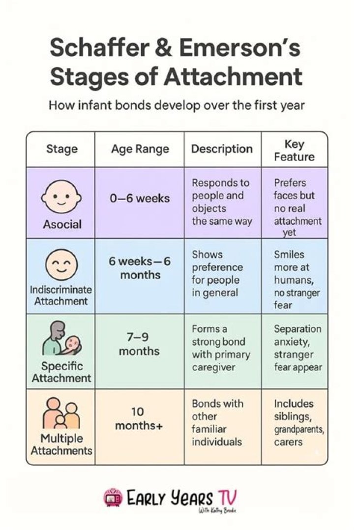 What is the Schaffer and Emerson theory?