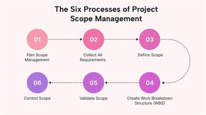 What is the scope of project coordinator?
