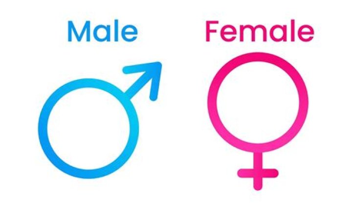 What is the sign for male and female?