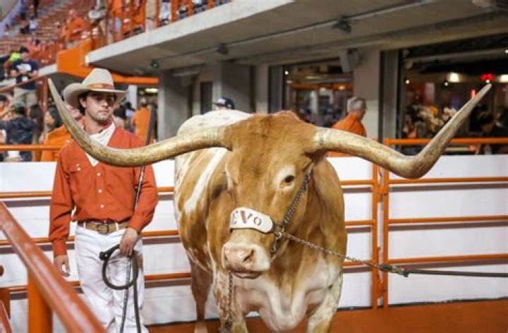 What is the Texas Longhorn fight song?