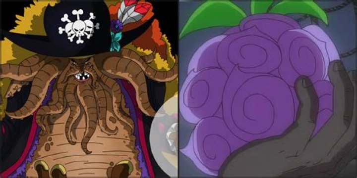 What is there to do on Blackbeard Island?