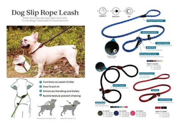 What is wrong with flexi leashes?