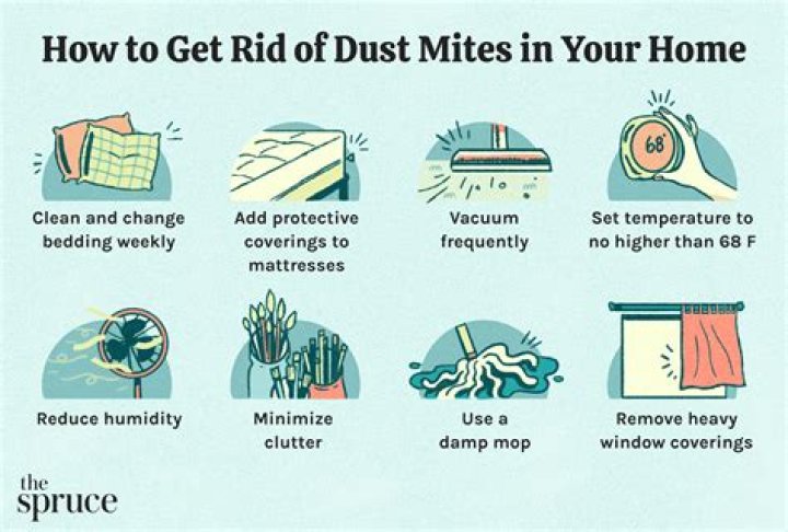 What kills dust mites in laundry?