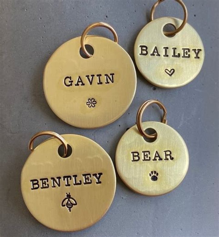 What legally should be on a dog tag?