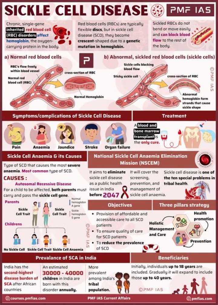 What organizations help with sickle cell anemia?