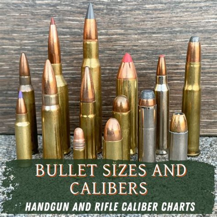 What size is a 22 caliber bullet?