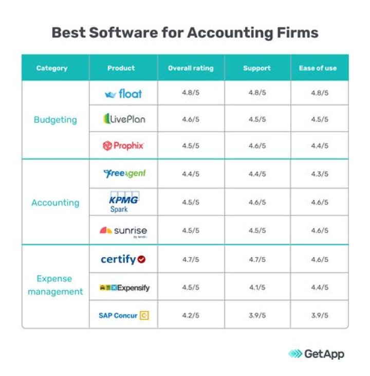 What software do most accounting firms use?