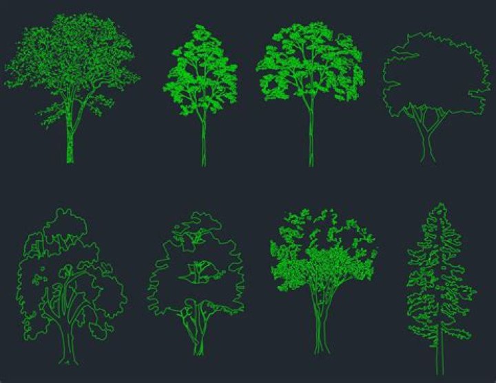 Where are trees in AutoCAD?