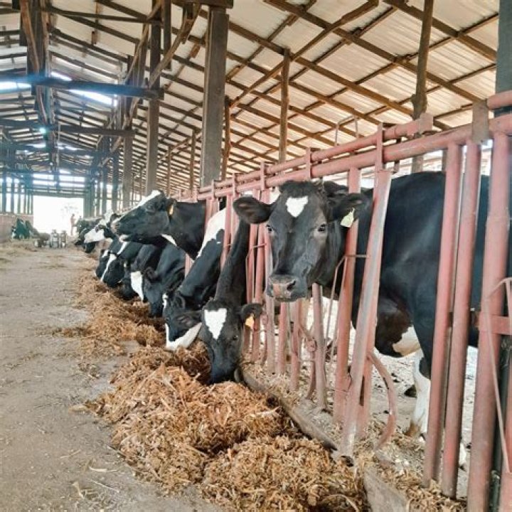 Where can I farm nature runes?